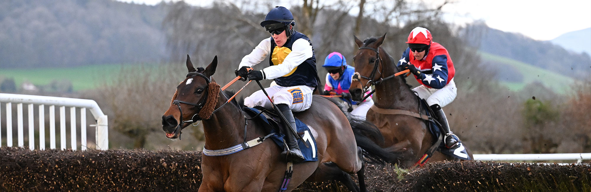 Point to Point Horse Racing in Manchester