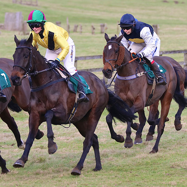 Horse being ridden by Jockey in Manchester